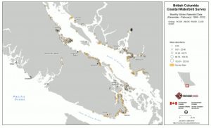 Mean relative abundance of grebe species around the Salish Sea - Bird Studies Canada