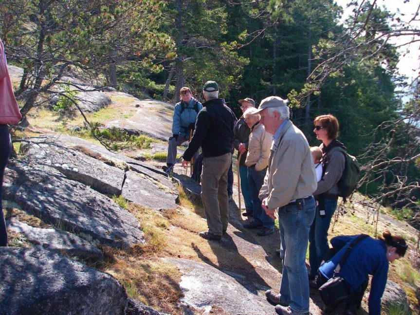 Douglas fir ecosystems