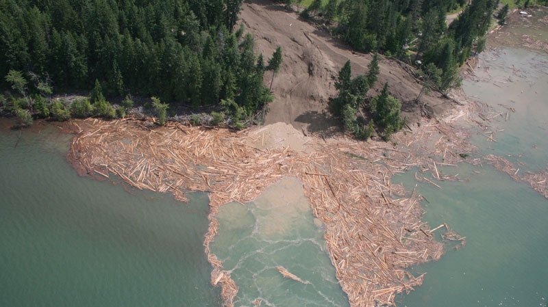 Mudslide near Johnson's Landing, BC