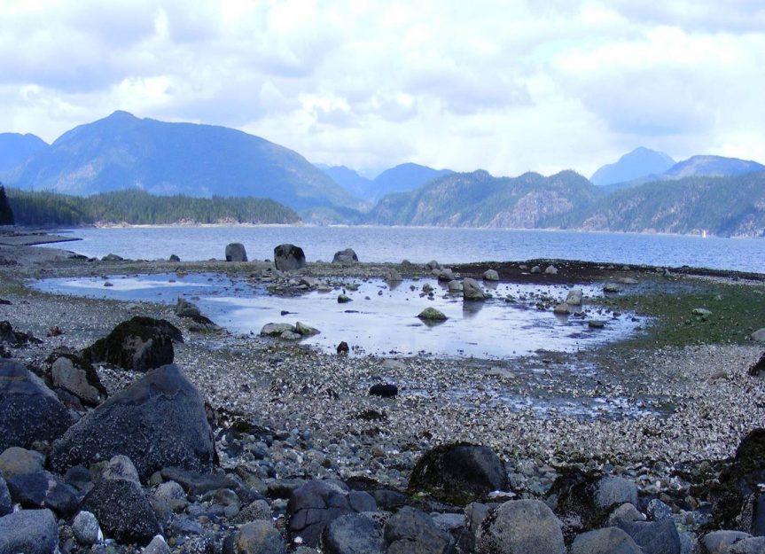 Judith Williams – “Clam Gardens: Aboriginal Mariculture on Canada’s West Coast”