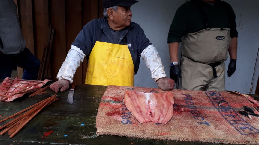 A freshly butchered Chum salmon - the traditional way! - Cindy Dalcourt